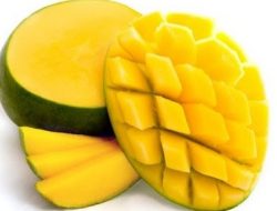 Mengenal Buah Mangga Unggulan di Jawa Timur