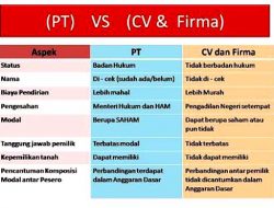Cara Mendirikan Perusahaan Terbuka ( PT ), Berikut Syaratnya