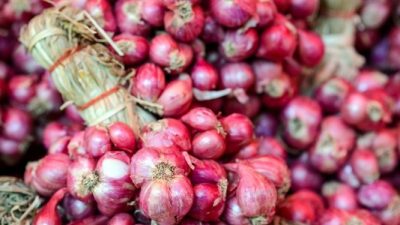 Manfaat Bawang Merah Selain Untuk Rempah Juga Obat Tradisional