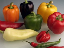 Kaya Manfaat, Paprika Dapat Mencegah Penyakit Stroke dan Jantung