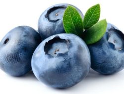 Asal Buah Blueberry Serta Kandungan dan Manfaat Blueberry, Yuk Coba Rasanya !