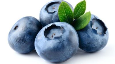 Asal Buah Blueberry Serta Kandungan dan Manfaat Blueberry, Yuk Coba Rasanya !