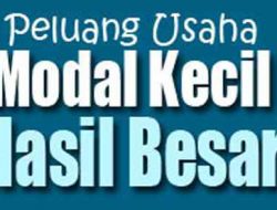 Peluang Usaha Modal Kecil