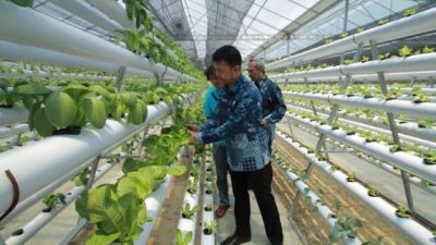 KHG (Komunitas Hidroponik Gresik) Kini Punya Kebun Hidroponik