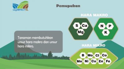Jenis dan Manfaat Unsur Hara Makro – Mikro  Yang Dibutuhkan Tumbuhan