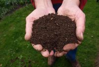Tahapan Cara Membuat Pupuk Kompos Super dan Bahan Dasarnya