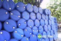 Beberapa Manfaat Tetes Tebu / Molase Untuk Ternak Sapi dan Unggas