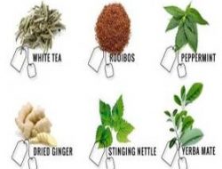 Menikmati Khasiat 12 Jenis Teh Herbal