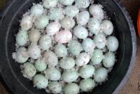 TELUR ASIN BEBEK
