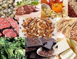 TOP 10 Jenis Makanan Kaya Zat Besi Kaya Manfaat Sehat