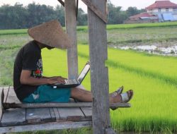 aplikasi petani bebas bayar
