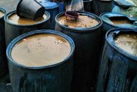 Tetes Tebu / Molases Kaya Nutrisi Untuk Ternak Ruminansia dan Campuran Pelet