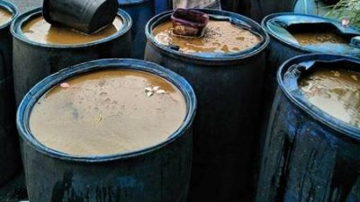 Tetes Tebu / Molases Kaya Nutrisi Untuk Ternak Ruminansia dan Campuran Pelet