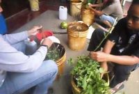 Ramuan Organik Membuat Insektisida, Fungisida, Bakterisida, Rodentisida, Moluskisida, Nematisida dll