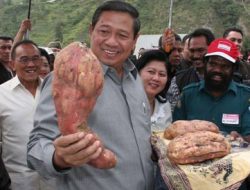 Bibit Unggul Dapat Diperoleh Melalui Perkawinan Silang, Bagaimana Caranya?