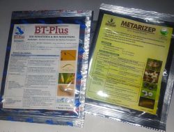 Bio Insektisida BT Plus & Metarizep Basmi Hama Tanaman Ramah Lingkungan