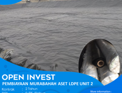 Kesempatan Bisnis Investasi Bidang Perikanan Murabahah LDPE di inFishta