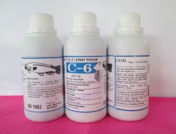 C-6 Obat Anti Bakteri dan Ampuh Atasi Penyakit Berat pada Ikan Lele