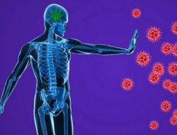 Cara Menjaga Kesehatan Sistem Imun dan Mencegah Infeksi Penyakit