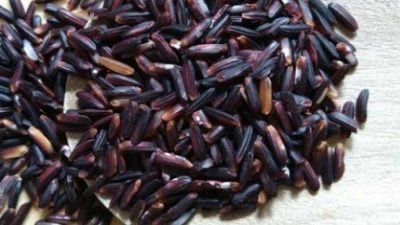 Mengenal Manfaat dan Khasiat Beras Hitam Untuk Kesehatan