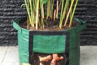 Planterbag Easy Grow Kualitas Export Pengganti Pot dan Polybag