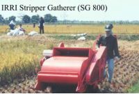 Mesin Panen Stripper Gatherer dan Chandue Sangat Membantu Petani