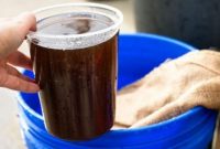 Cara Membuat Urea Cair Organik Untuk Mengatasi Kekurangan Pupuk Kimia