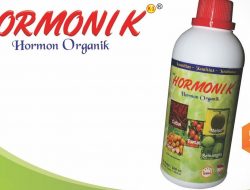 Banyak Kandungan dan Manfaat Hormonik Organik NASA, Apa Saja itu ?