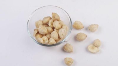 Peluang Bisnis Komoditas Kemiri Kupas dan Kulit Kemiri, Berikut Harganya :