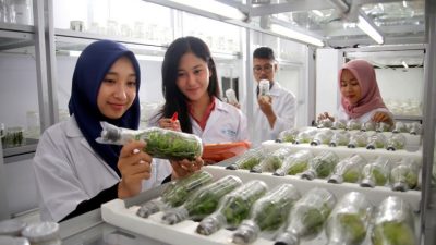 Pengertian, Ruang Lingkup, Fungsi dan Aspek Manajemen Agribisnis