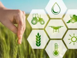 peluang usaha agribisnis