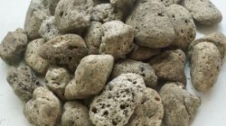 Macam Media Bakteri Starter Aquascape Untuk Menjaga Kualitas Air Aquarium