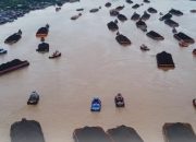 Ekosistem Sungai Mahakam Kalimantan Timur Ikut Hancur, Apa Batu Bara Penyebabnya ?
