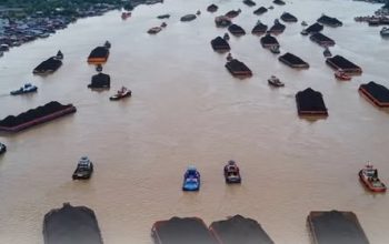 Ekosistem Sungai Mahakam Kalimantan Timur Ikut Hancur, Apa Batu Bara Penyebabnya ?