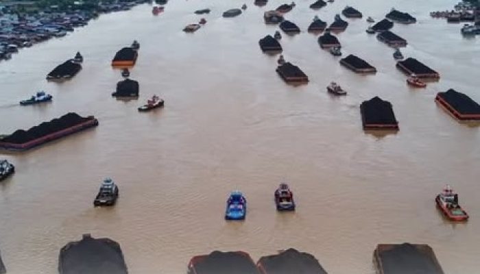 Ekosistem Sungai Mahakam Kalimantan Timur Ikut Hancur, Apa Batu Bara Penyebabnya ?