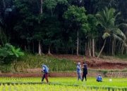 Kenapa Anak Muda Malas Jadi Petani, Padahal Peluang Dunia Pertanian Menjanjikan?