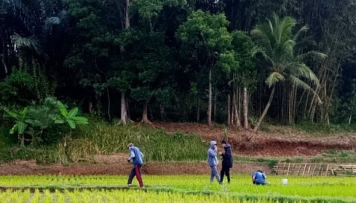Kenapa Anak Muda Malas Jadi Petani, Padahal Peluang Dunia Pertanian Menjanjikan?
